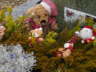 Weihnachten 09 019