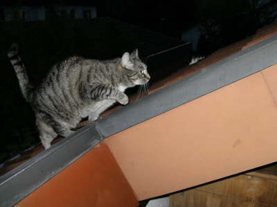 November 2009